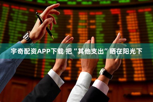 宇奇配资APP下载 把“其他支出”晒在阳光下