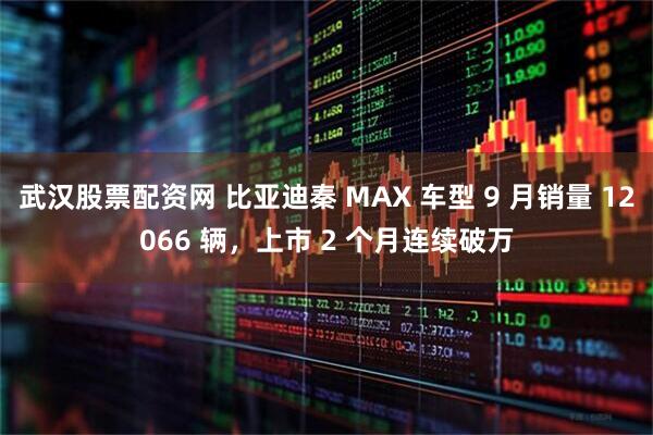 武汉股票配资网 比亚迪秦 MAX 车型 9 月销量 12066 辆，上市 2 个月连续破万